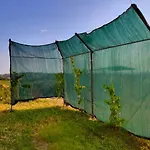 Giardino Casa Selciata アパート *