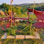 Giardino Casa Selciata