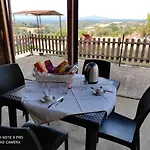 Giardino Casa Selciata *